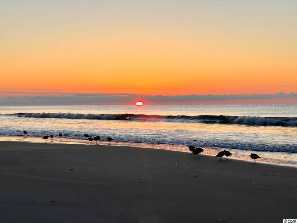 Beautiful Beachfront-Oceanfront First Floor 2Br 2Ba Condo In Cherry Grove, North Myrtle Beach! Renovated With A Fully Equipped Kitchen, 3 Separate Beds, Pool, Private Patio & Steps To The Sand! Exteriör bild